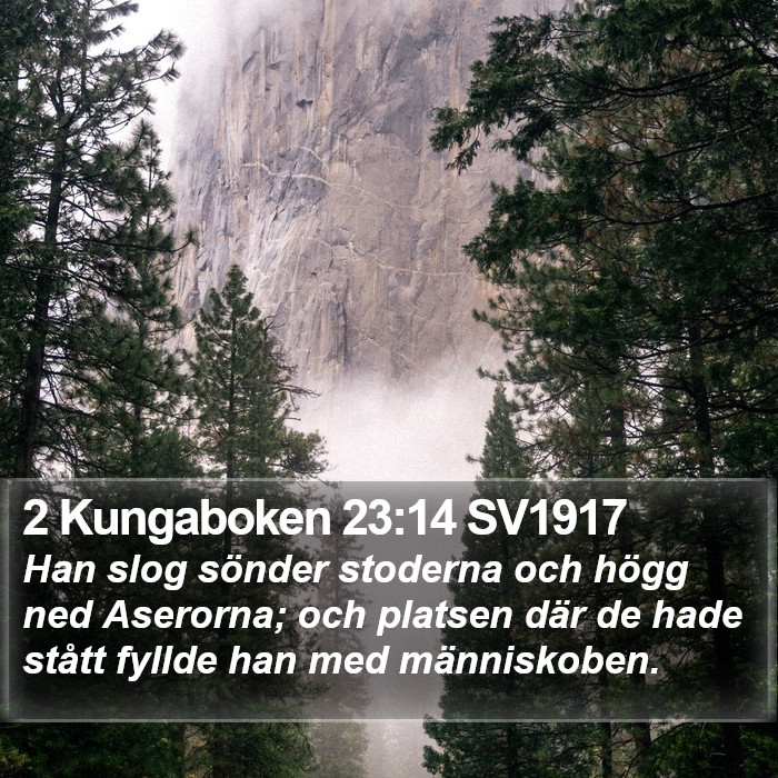 2 Kungaboken 23:14 SV1917 Bible Study