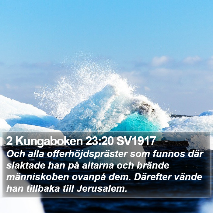 2 Kungaboken 23:20 SV1917 Bible Study