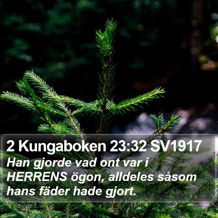 2 Kungaboken 23:32 SV1917 Bible Study