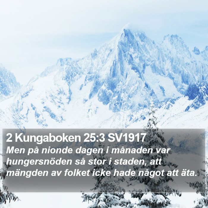 2 Kungaboken 25:3 SV1917 Bible Study