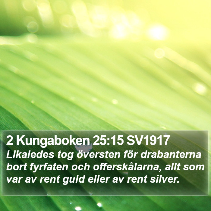 2 Kungaboken 25:15 SV1917 Bible Study