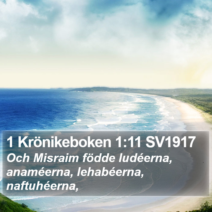 1 Krönikeboken 1:11 SV1917 Bible Study