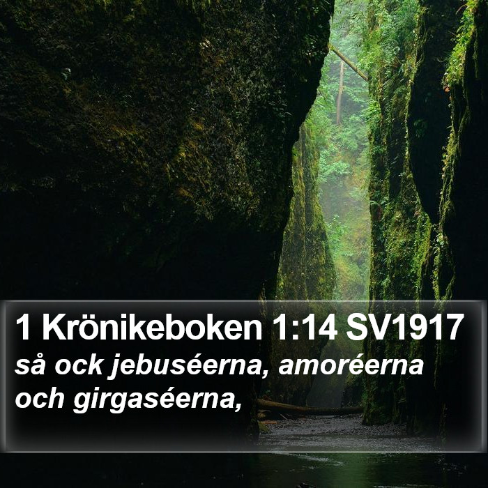 1 Krönikeboken 1:14 SV1917 Bible Study