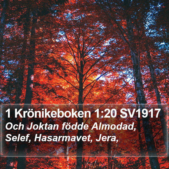 1 Krönikeboken 1:20 SV1917 Bible Study