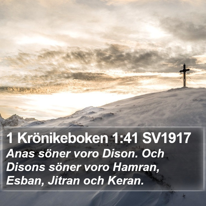 1 Krönikeboken 1:41 SV1917 Bible Study