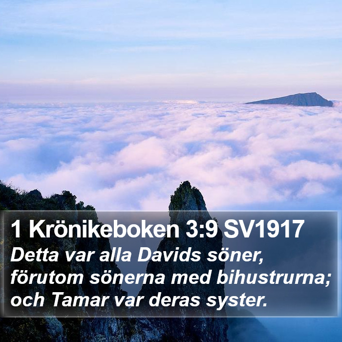 1 Krönikeboken 3:9 SV1917 Bible Study