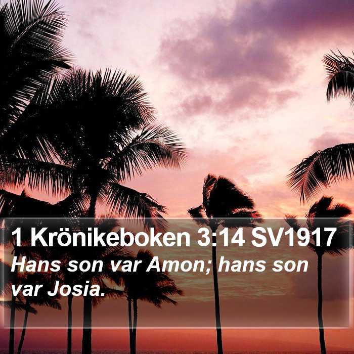 1 Krönikeboken 3:14 SV1917 Bible Study