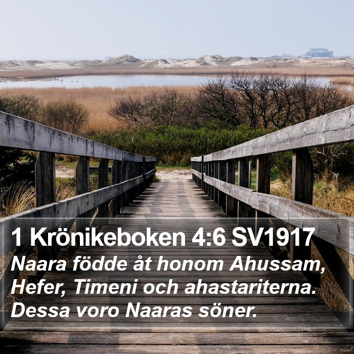 1 Krönikeboken 4:6 SV1917 Bible Study
