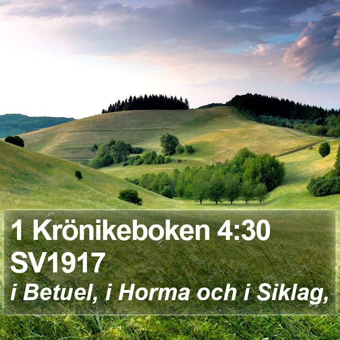 1 Krönikeboken 4:30 SV1917 Bible Study