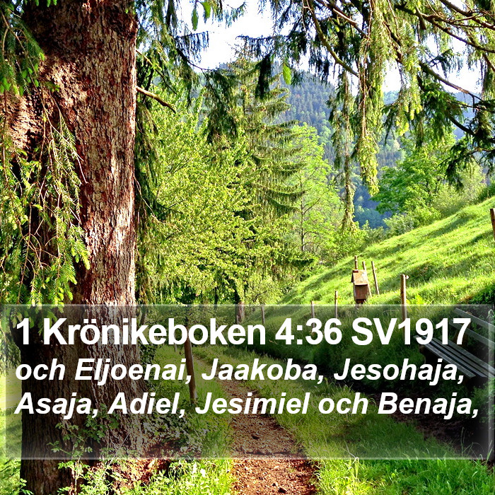 1 Krönikeboken 4:36 SV1917 Bible Study