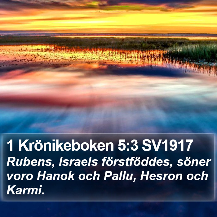 1 Krönikeboken 5:3 SV1917 Bible Study