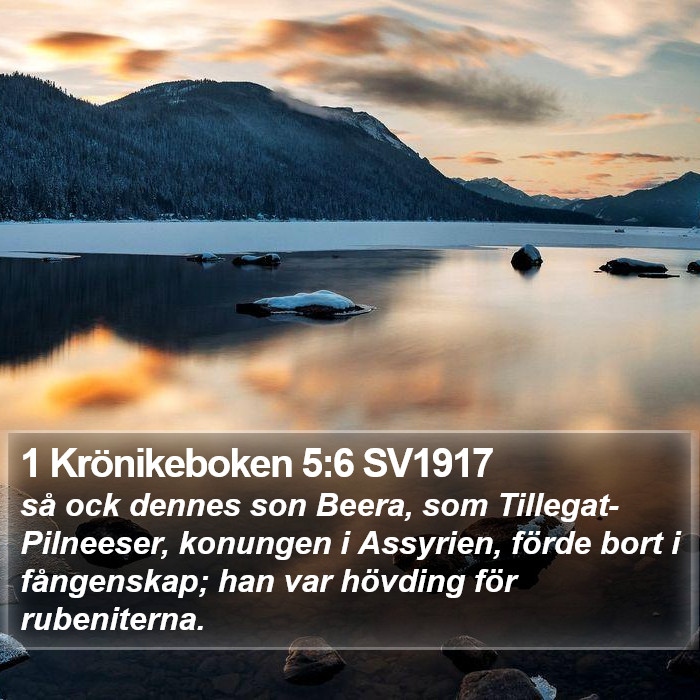 1 Krönikeboken 5:6 SV1917 Bible Study