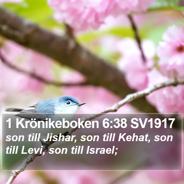 1 Krönikeboken 6:38 SV1917 Bible Study