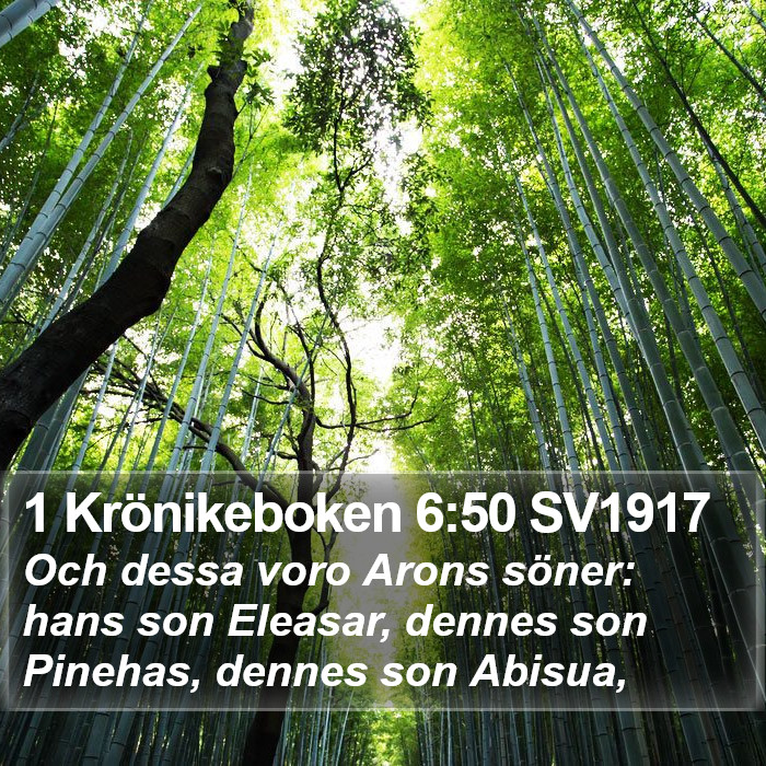 1 Krönikeboken 6:50 SV1917 Bible Study