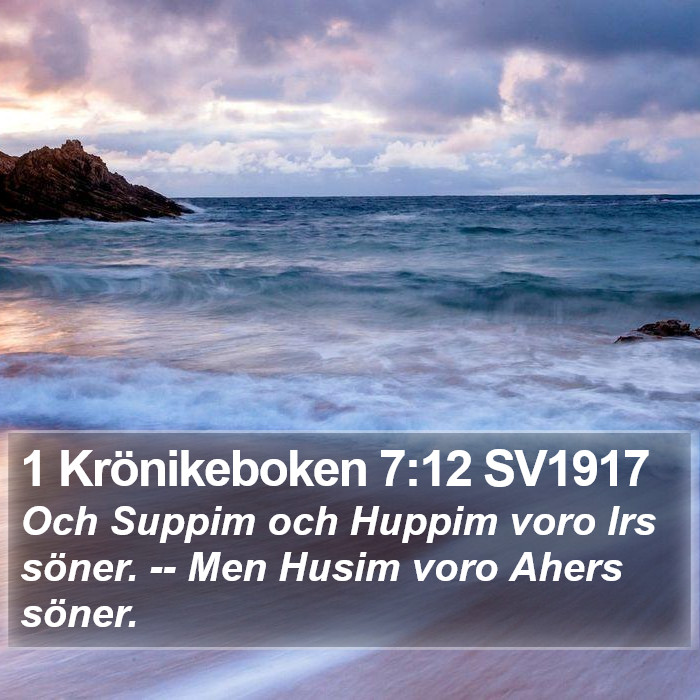 1 Krönikeboken 7:12 SV1917 Bible Study