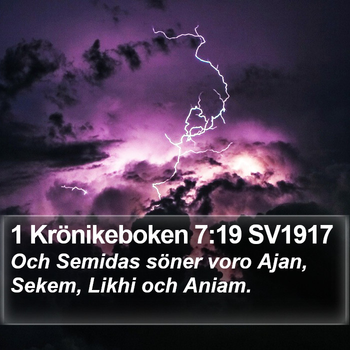 1 Krönikeboken 7:19 SV1917 Bible Study