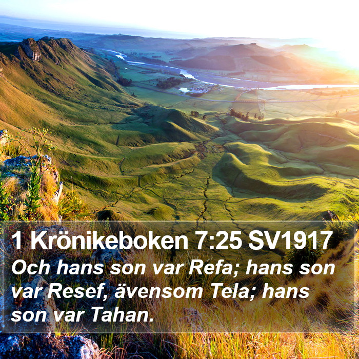 1 Krönikeboken 7:25 SV1917 Bible Study