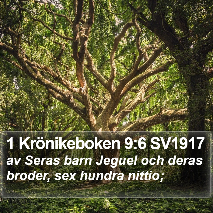 1 Krönikeboken 9:6 SV1917 Bible Study