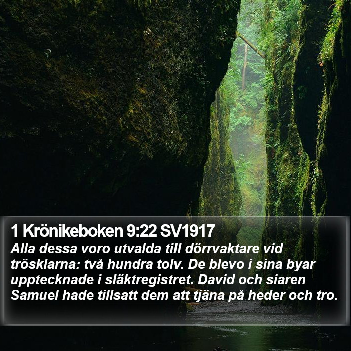 1 Krönikeboken 9:22 SV1917 Bible Study