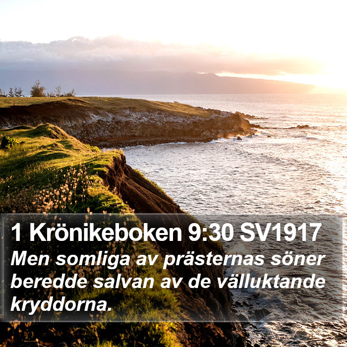 1 Krönikeboken 9:30 SV1917 Bible Study