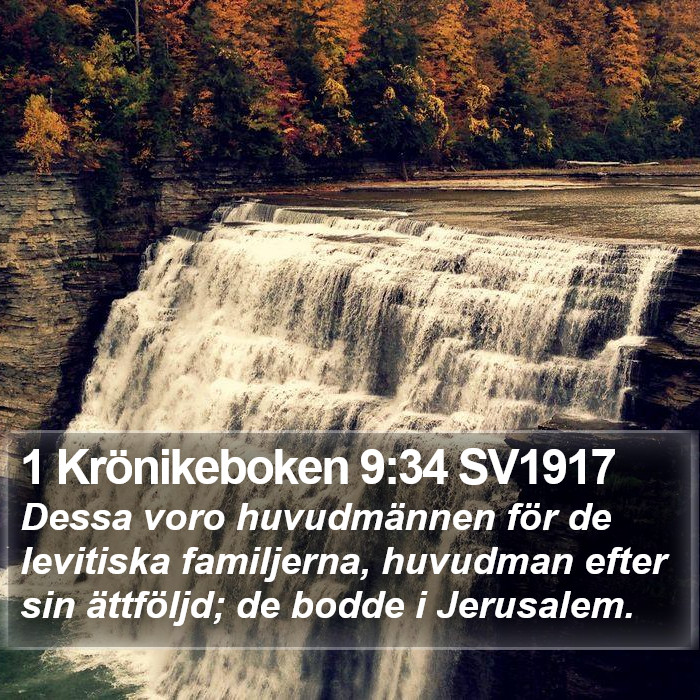 1 Krönikeboken 9:34 SV1917 Bible Study