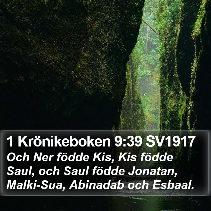 1 Krönikeboken 9:39 SV1917 Bible Study