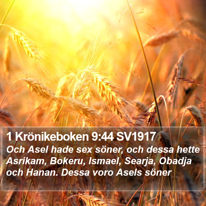 1 Krönikeboken 9:44 SV1917 Bible Study