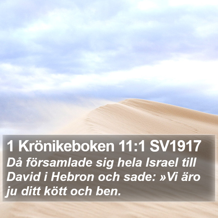 1 Krönikeboken 11:1 SV1917 Bible Study
