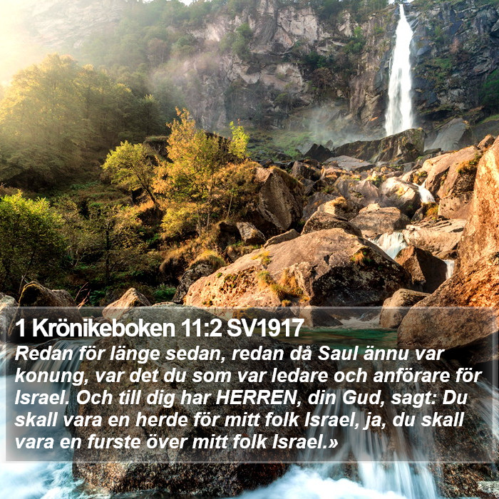 1 Krönikeboken 11:2 SV1917 Bible Study