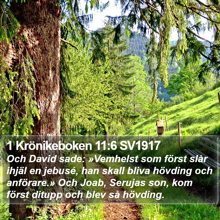 1 Krönikeboken 11:6 SV1917 Bible Study