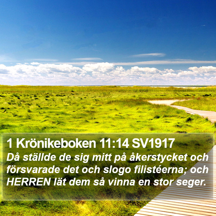 1 Krönikeboken 11:14 SV1917 Bible Study