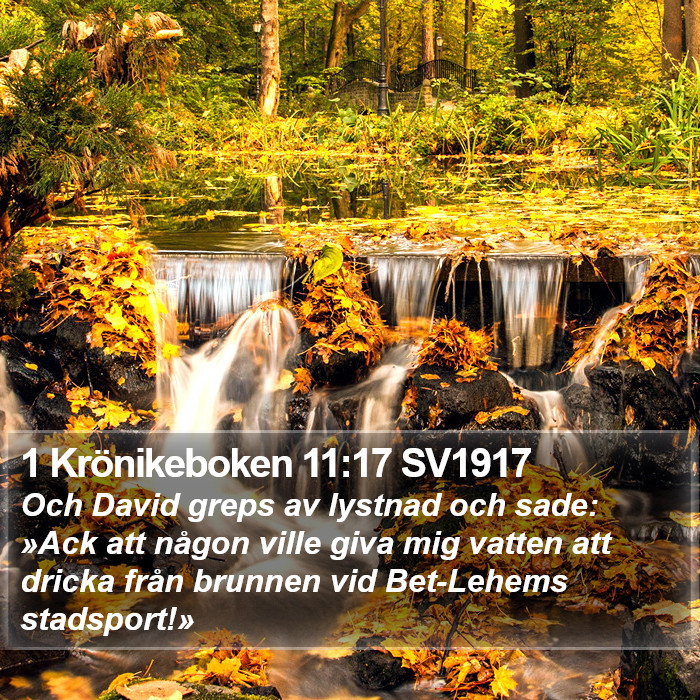 1 Krönikeboken 11:17 SV1917 Bible Study