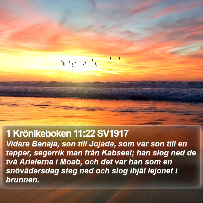 1 Krönikeboken 11:22 SV1917 Bible Study