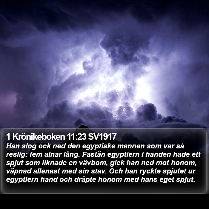 1 Krönikeboken 11:23 SV1917 Bible Study