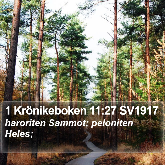 1 Krönikeboken 11:27 SV1917 Bible Study