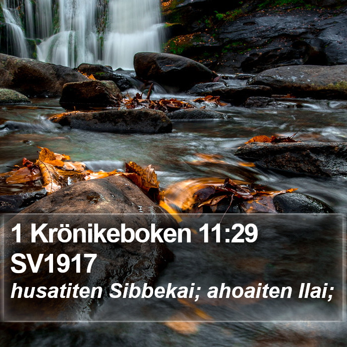1 Krönikeboken 11:29 SV1917 Bible Study