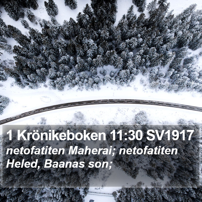 1 Krönikeboken 11:30 SV1917 Bible Study