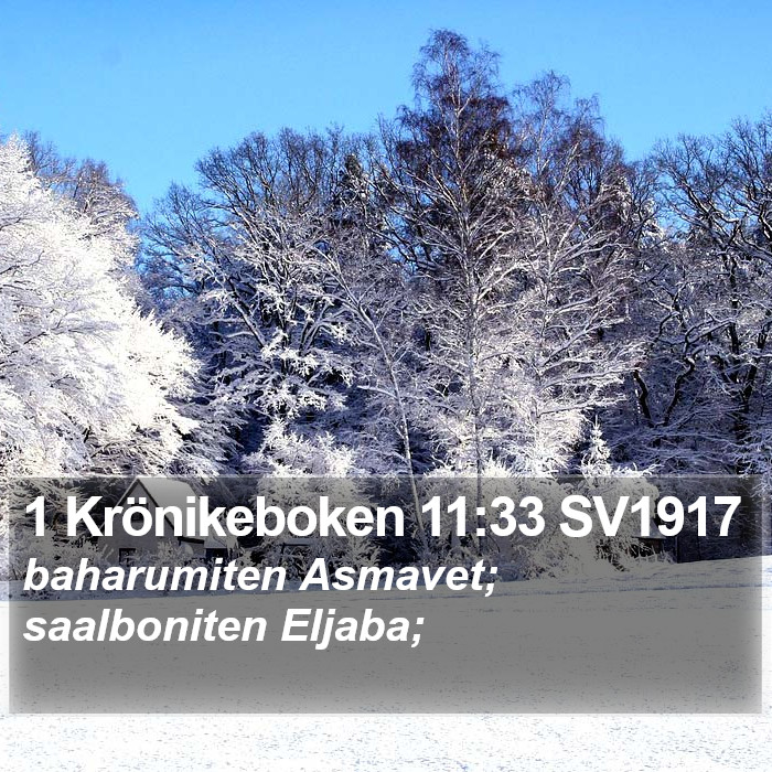 1 Krönikeboken 11:33 SV1917 Bible Study