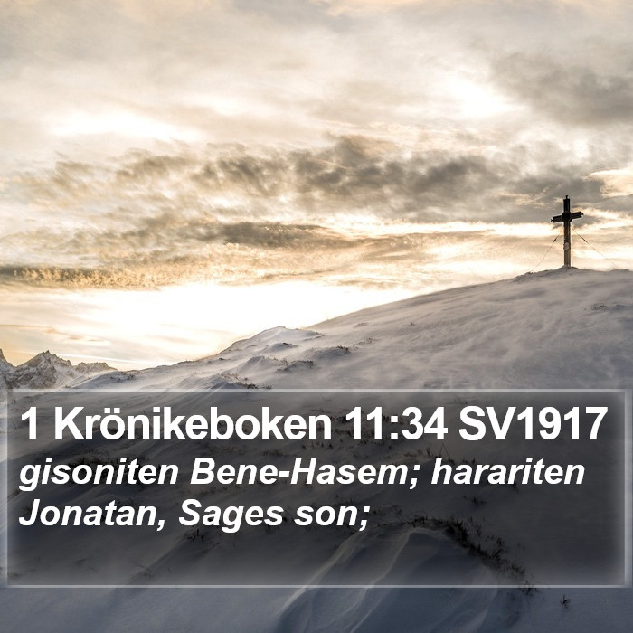 1 Krönikeboken 11:34 SV1917 Bible Study