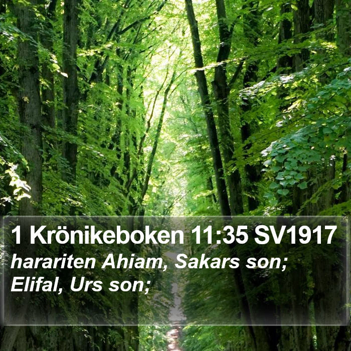 1 Krönikeboken 11:35 SV1917 Bible Study