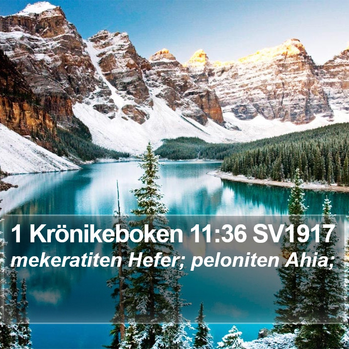 1 Krönikeboken 11:36 SV1917 Bible Study