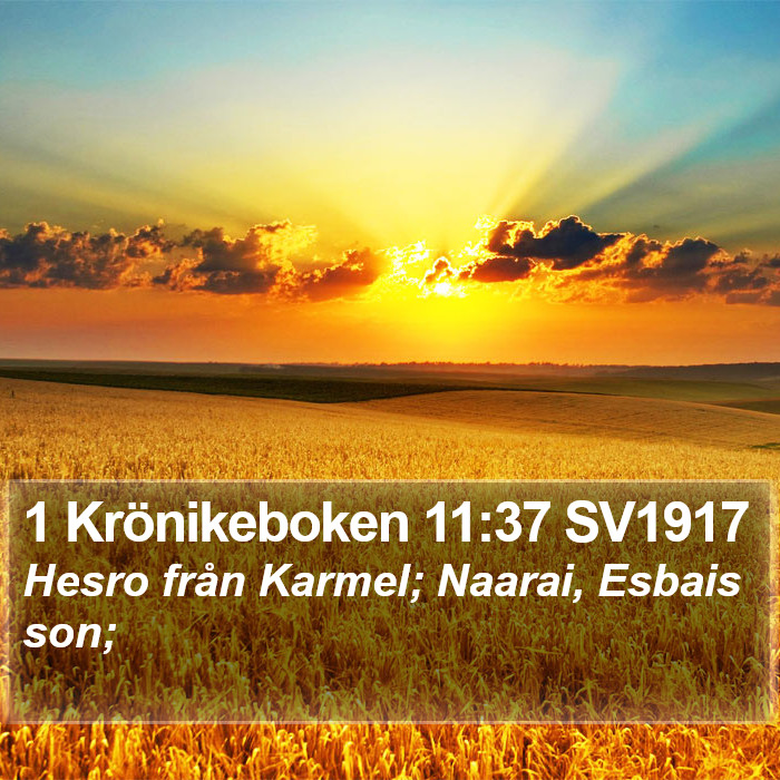 1 Krönikeboken 11:37 SV1917 Bible Study