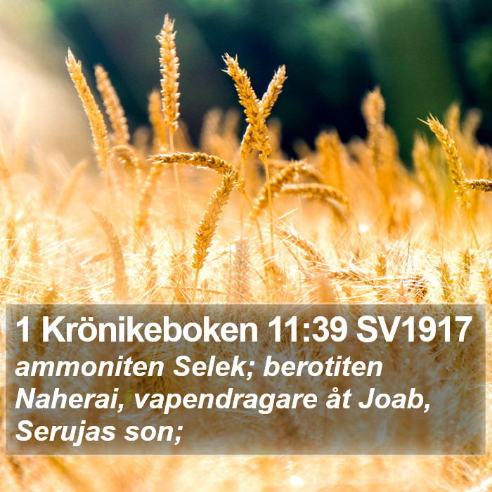 1 Krönikeboken 11:39 SV1917 Bible Study
