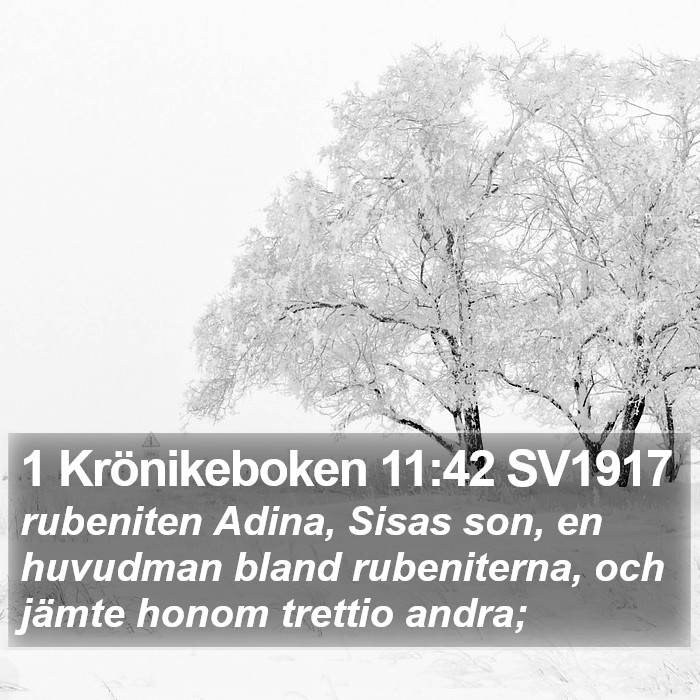 1 Krönikeboken 11:42 SV1917 Bible Study