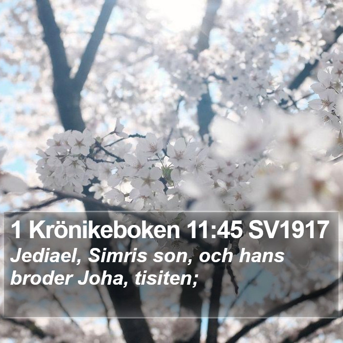 1 Krönikeboken 11:45 SV1917 Bible Study