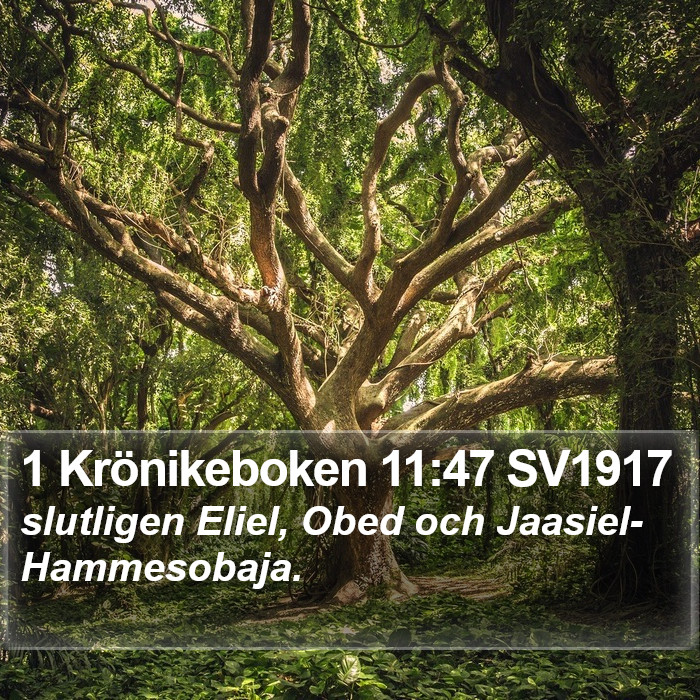 1 Krönikeboken 11:47 SV1917 Bible Study