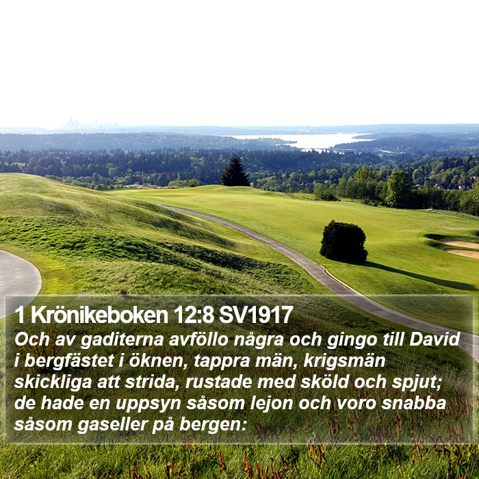 1 Krönikeboken 12:8 SV1917 Bible Study