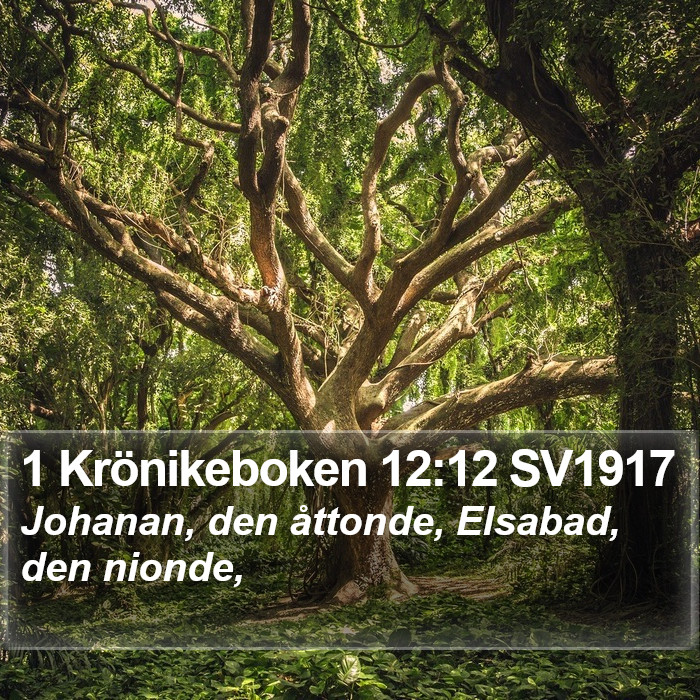 1 Krönikeboken 12:12 SV1917 Bible Study