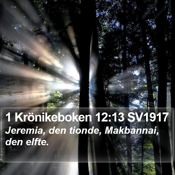 1 Krönikeboken 12:13 SV1917 Bible Study