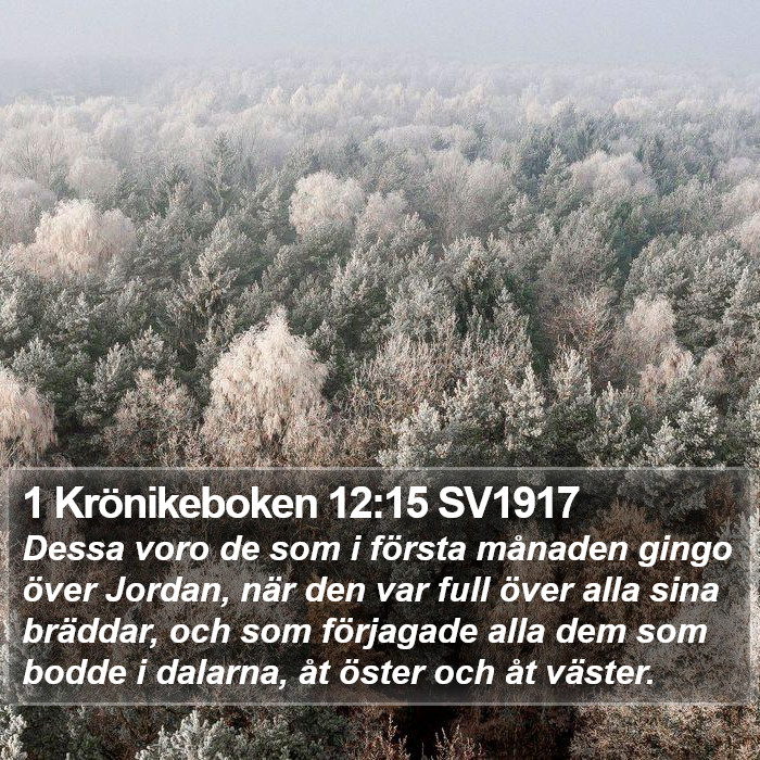 1 Krönikeboken 12:15 SV1917 Bible Study